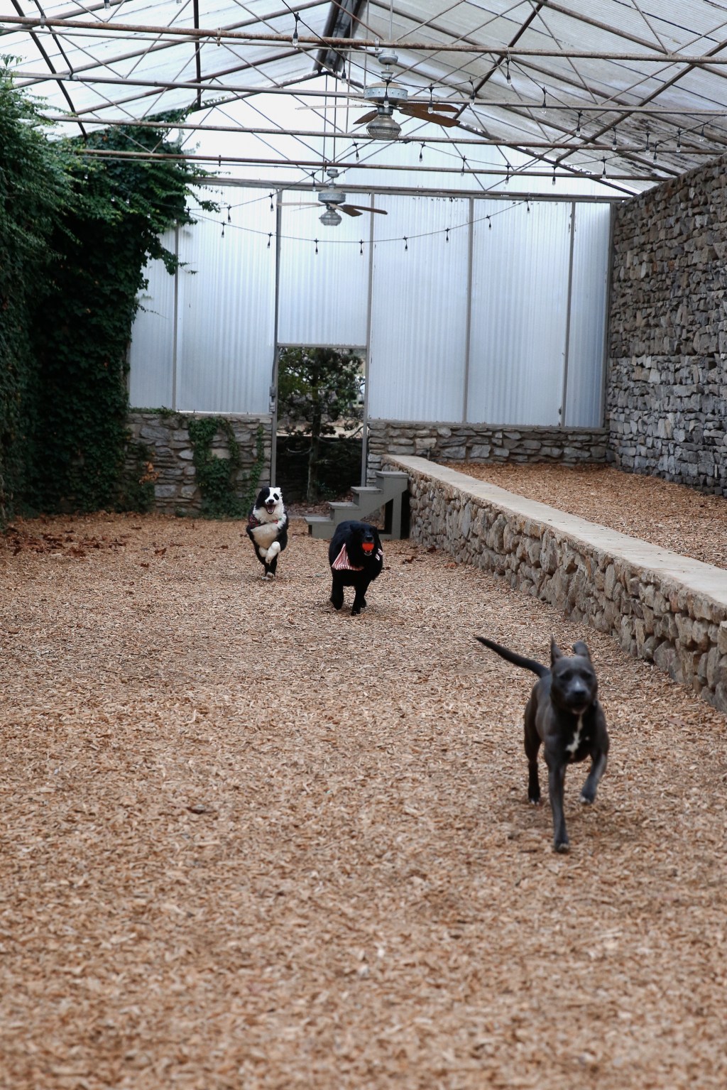 We’ve Hit The Ground&nbsp;Sprinting